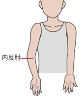 稲垣 克記 先生 第102回 よくある肘の病気やケガ ダイジェスト版 肘の痛みの原因とその治療法 人工関節ドットコム