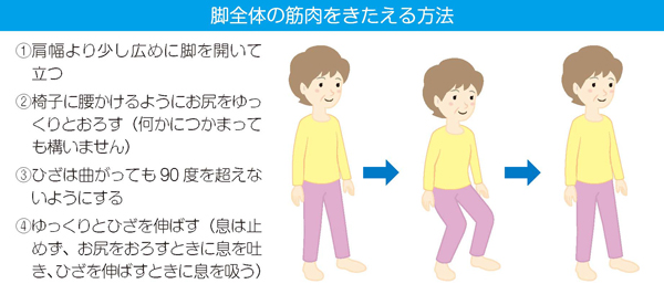 脚全体の筋肉をきたえる方法