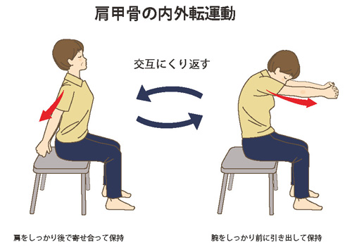 肩甲骨の内外転運動