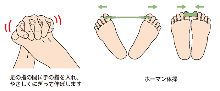 足の指のストレッチとホーマン体操